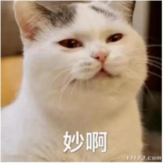 aaV0T9WT3LE0+susOv7GcdoVIAAAA.webp.jpg