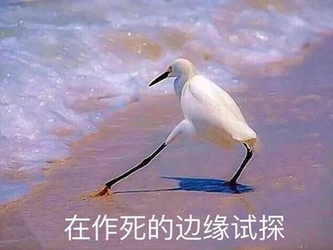 作死试探.jpg