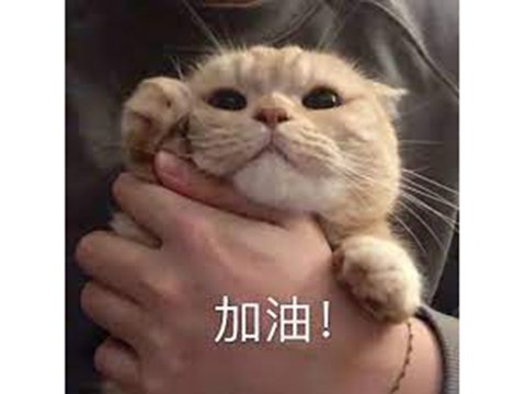 加油.jpg